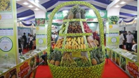 Fragrance of the Hills in the Capital: Three-Day “Hill Fruit Fair 2026” to Be Held at Bailey Road