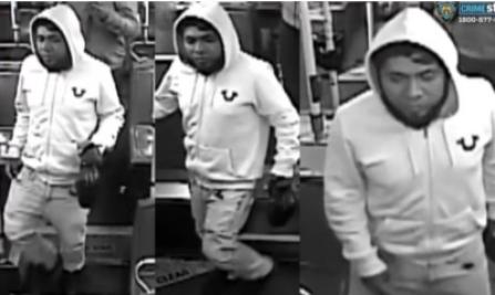 13-Year-Old Girl Stalked From Bronx Bus and Raped in Van Cortlandt Park; NYPD Launches Manhunt